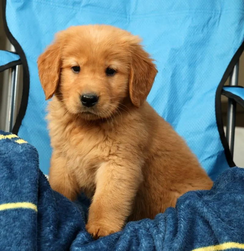 Quinn