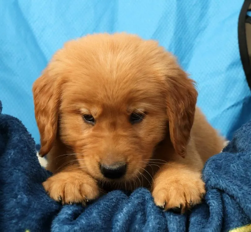 Quinn